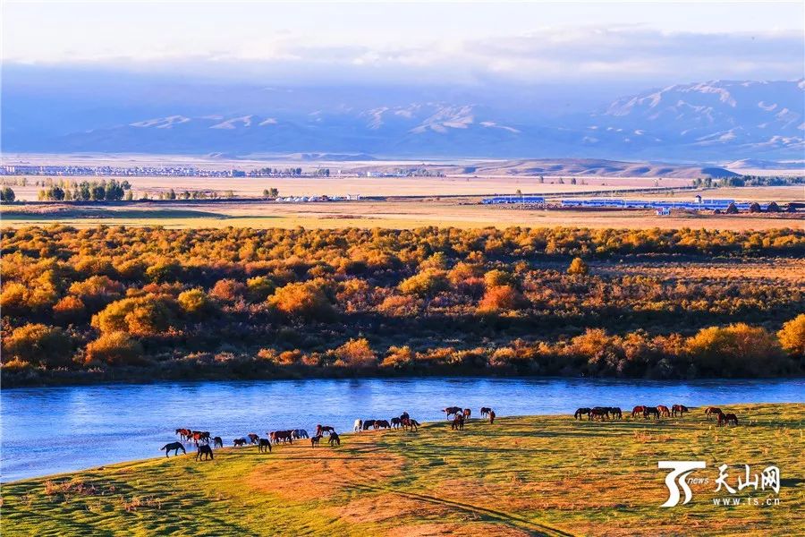 新疆之旅,轻松完成任务详尽指南